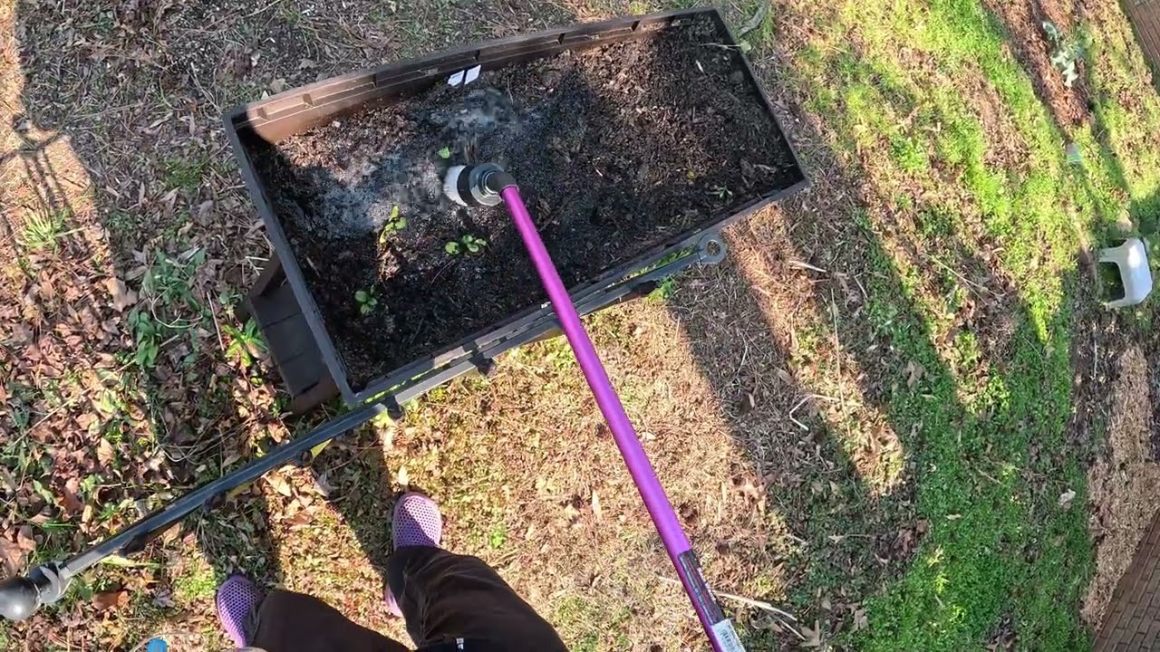 Garden Fails and Mishaps from This Week | Day 45 of 365 Days of Gardening