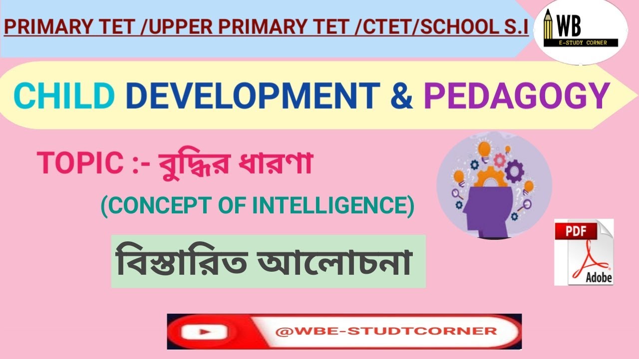 বুদ্ধির ধারণা ||CONCEPT OF INTELLIGENCE ||CDP CLASS IN BENGALI