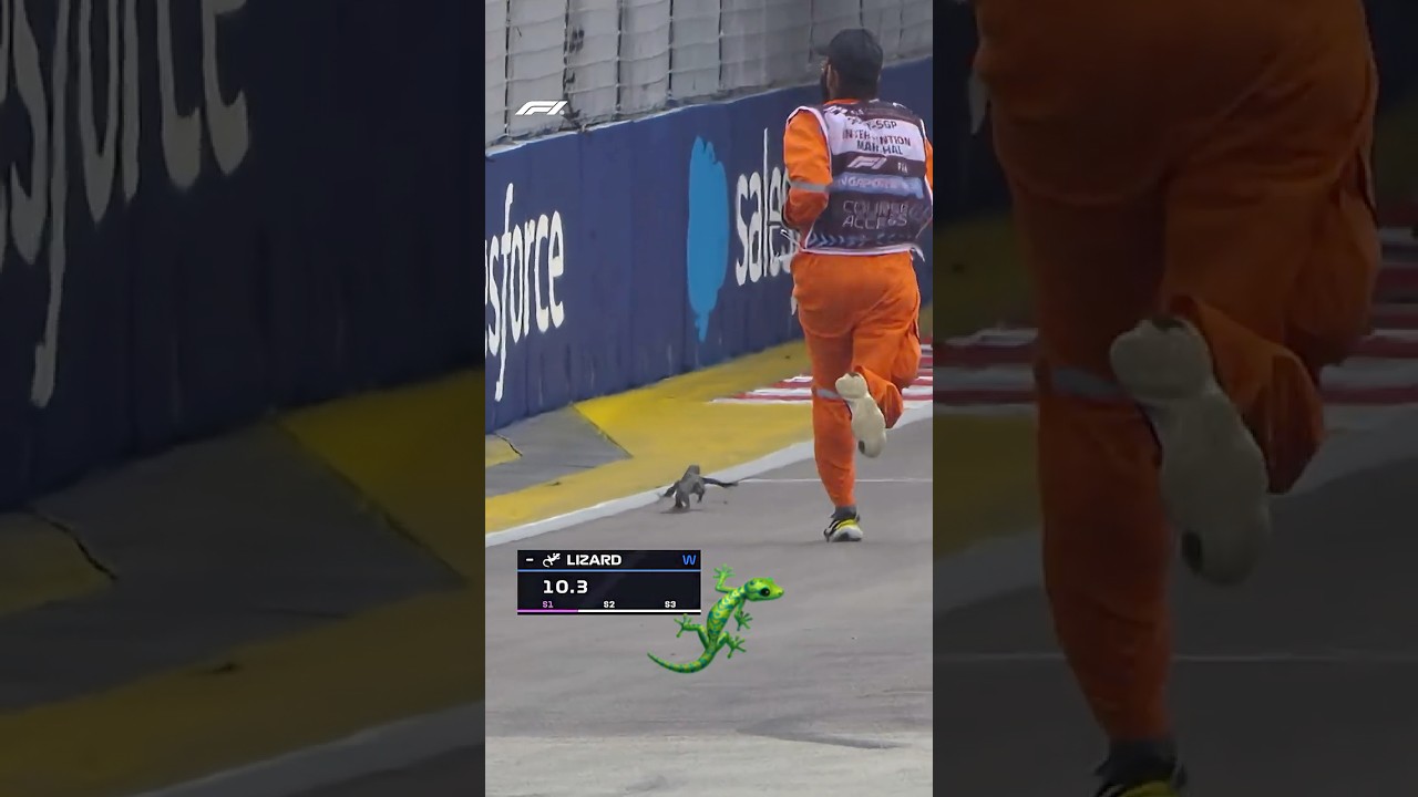 🦎 We Will NEVER Forget The Singapore Lizard 🦎
