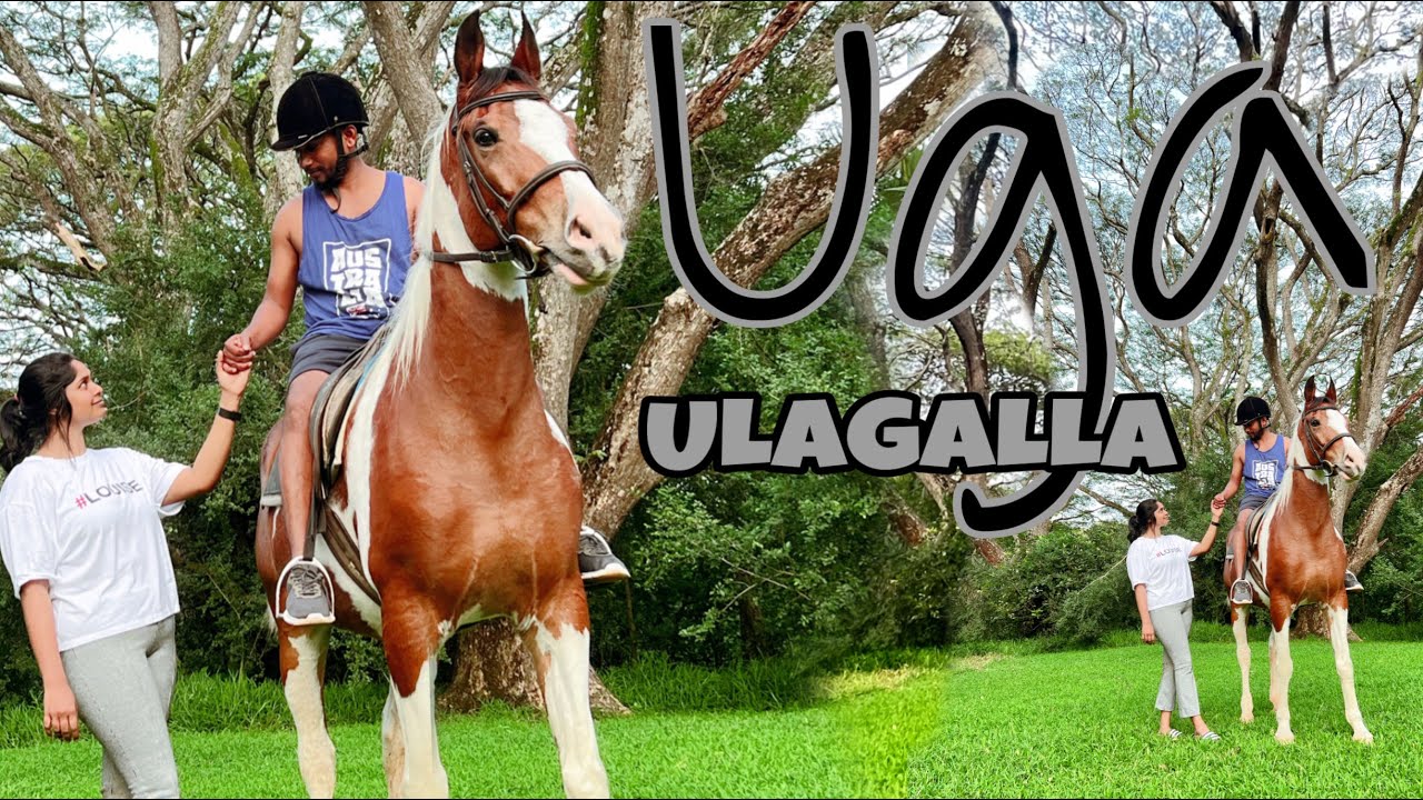 Uga Ulagalla | උගා උලගල්ල | At WILL | English Subtitles | menz & gayz- Travel Vlog ~ 04 🤍