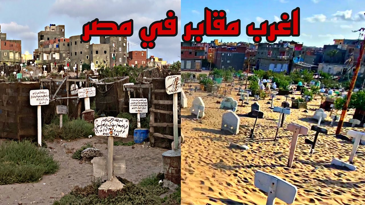 رحله الي البرلس الجزء الاول 😱مع محمد يوسف