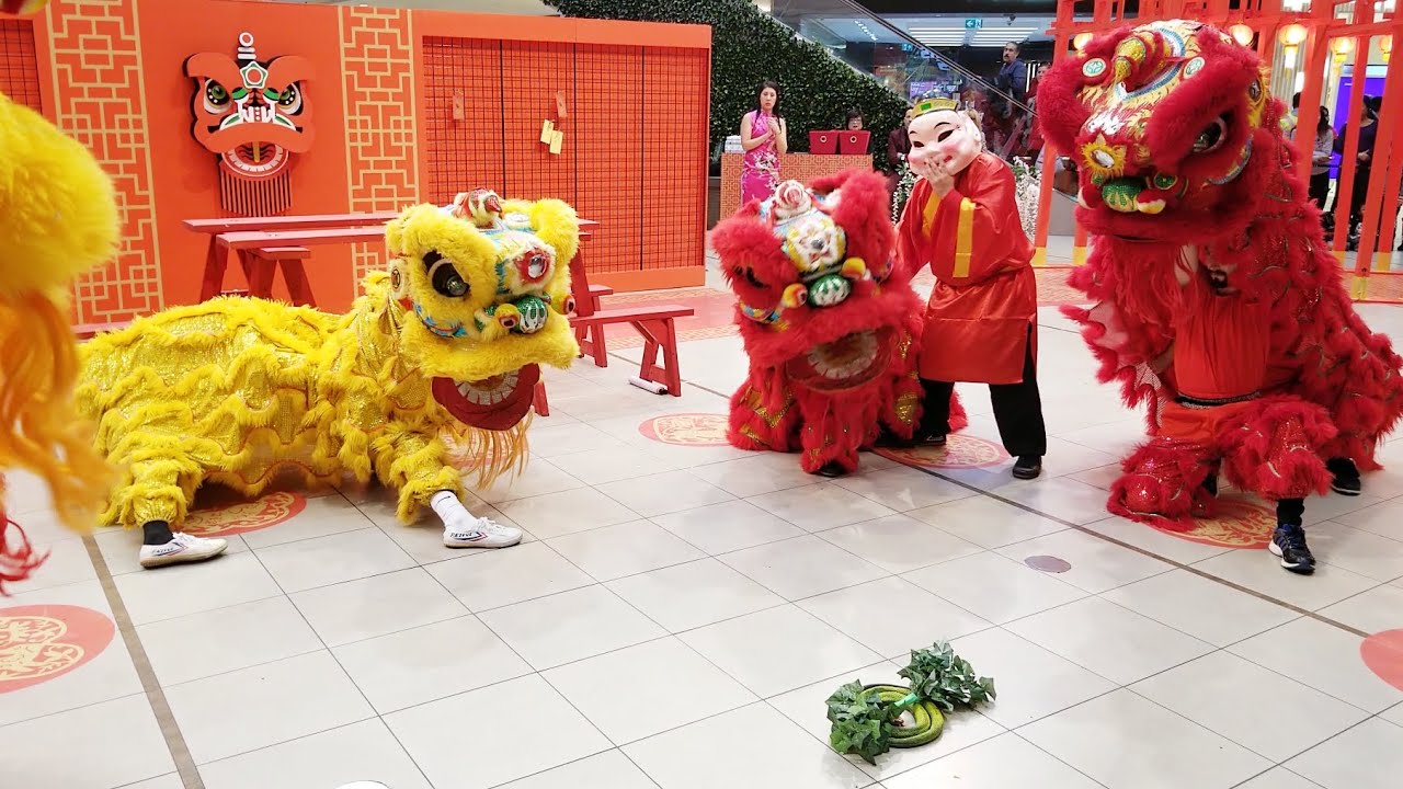 2020 Chinese New Year Lion Dance | Scarborough Town Centre STC | Toronto Canada | Year of The Mouse