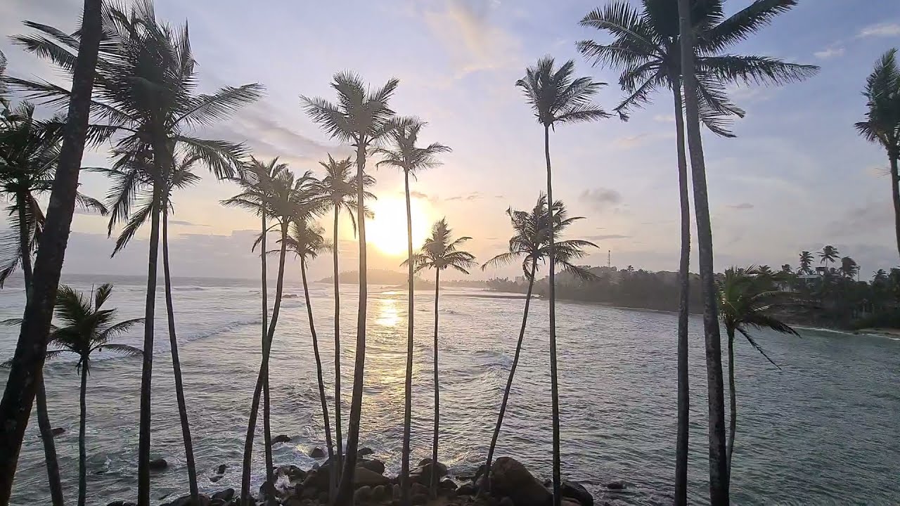 Mirissa Coconut hill Srilnka Southern Province #travelsrilanka #mirissa