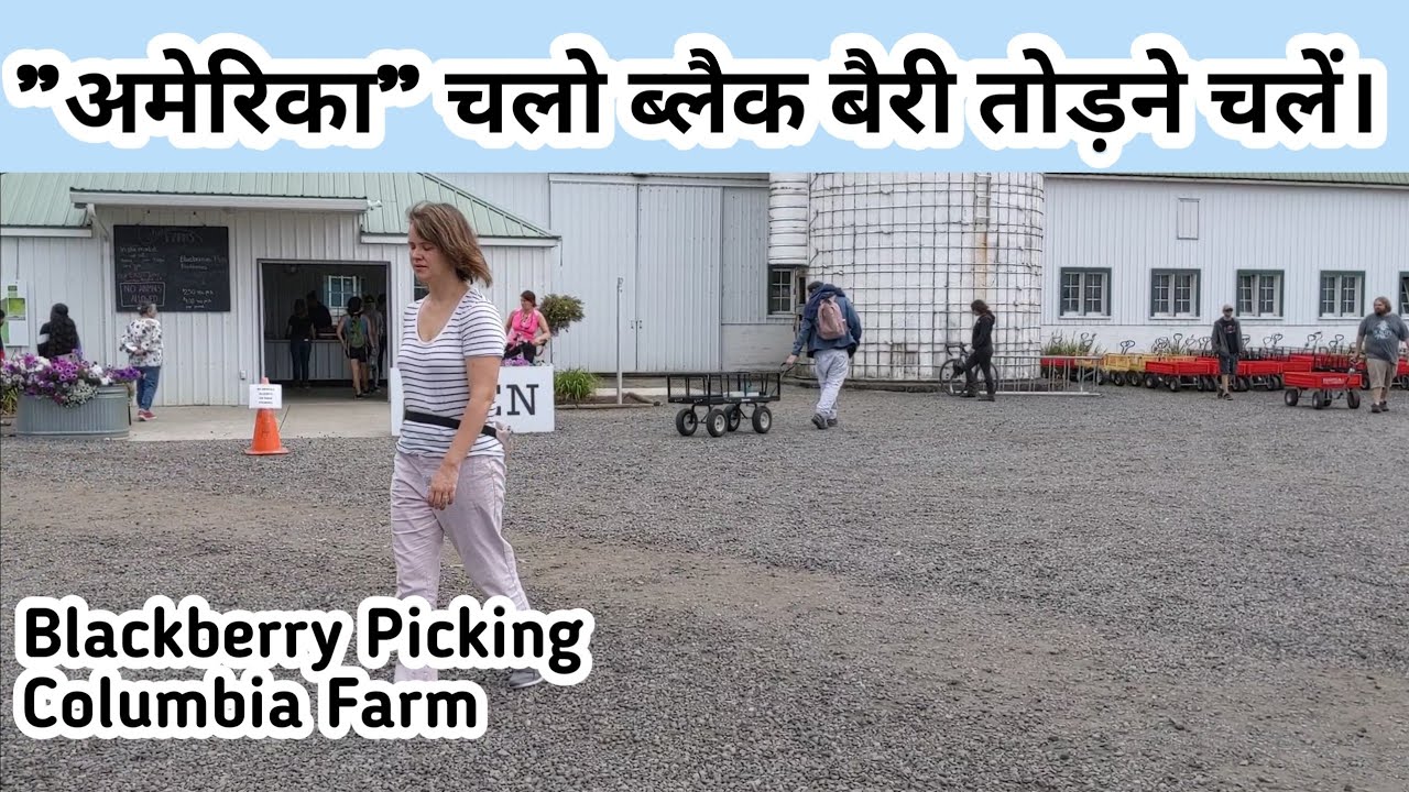 अमेरिका के Blueberry उत्पादक किसान || Self Dependent American Farmers