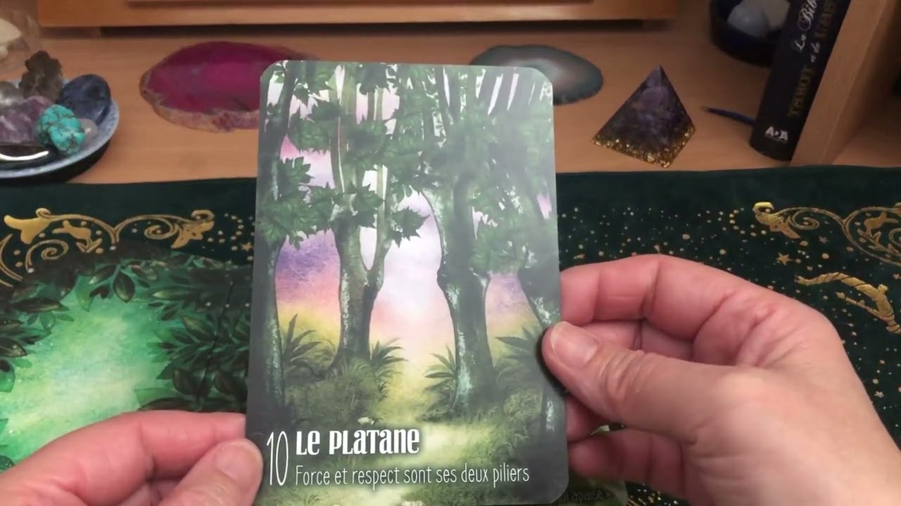 Review de l’oracle s’ouvrir à l’énergie des arbres de Sylvie Moiroud et Jennifer Lefèvre