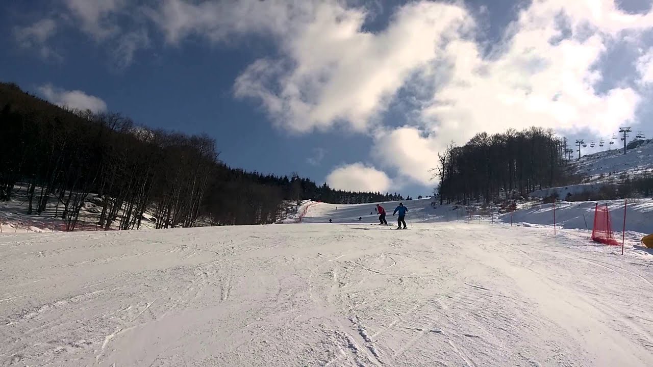 Konjarnik
