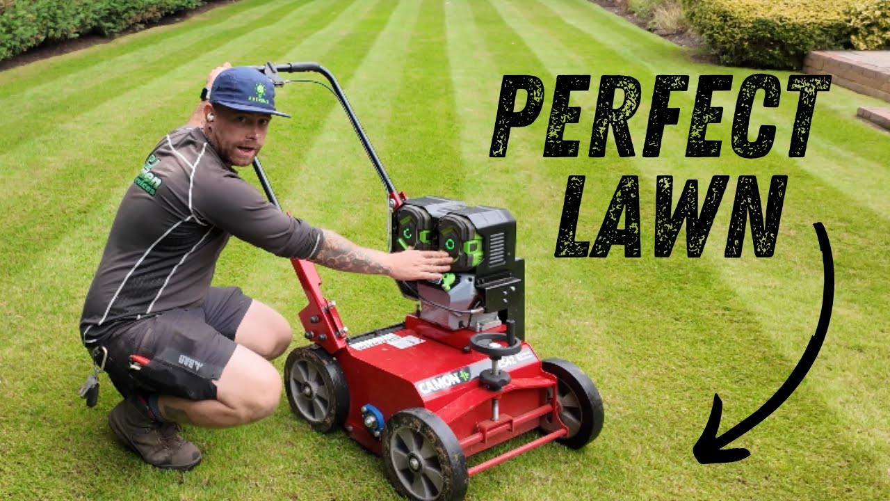 How To Fix An UGLY Lawn With These Renovation Steps | Ego Battery Powered Camon ES42 & EA25