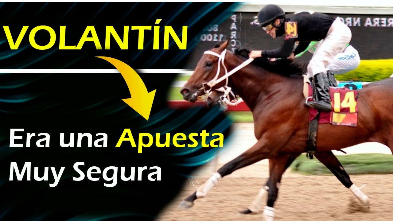 VOLANTÍN 🔥 10 Carreras que lo consagraron como un caballo guerrero en la Rinconada (vea por qué)