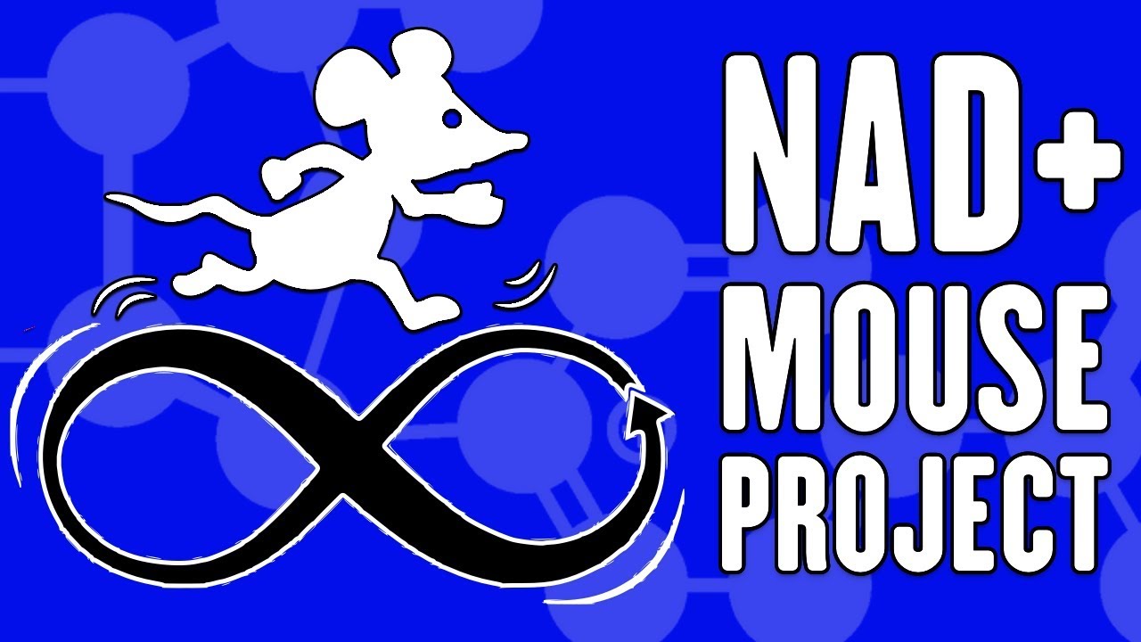 Can NMN Increase Longevity? | David Sinclair Harvard Medical Lifespan.io Crowdfunding Campaign
