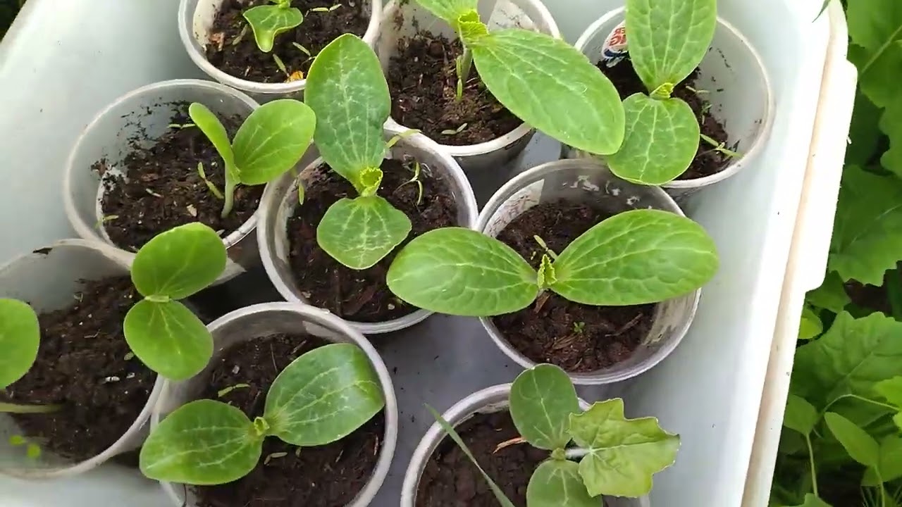 Все ждём тепла! Но пока увы!!!