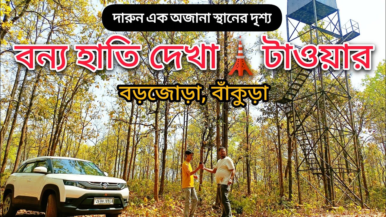 জংলী হাতি 🐘দেখা ওয়াচ 🗼টাওয়ার | সুন্দর এক গুপ্ত জায়গা যেখানে গেলে ফিরে আসতে ইচ্ছে করে না | 