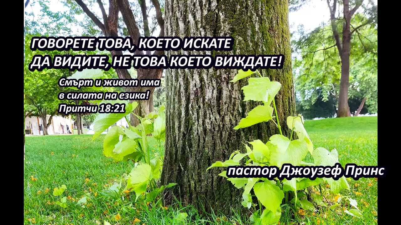 ГОВОРЕТЕ ТОВА, КОЕТО ИСКАТЕ ДА ВИДИТЕ, НЕ ТОВА КОЕТО ВИЖДАТЕ! ЧАСТ1 - ПАСТОР ДЖОУЗЕФ ПРИНС