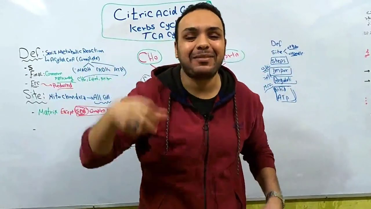 4- Bioenergetics (Kerbs Cycle)