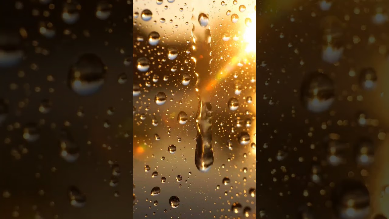 ASMR RIVER WATER, RAIN WATER, SWIMMING POOL WATER WITH YELLOW SUNLIGHT 