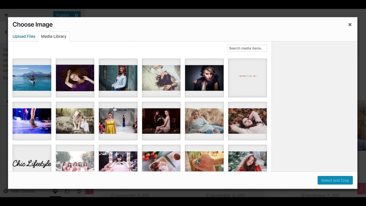 How to configure header section in Chic Lifestyle WordPress Theme | Feminine Blog Website