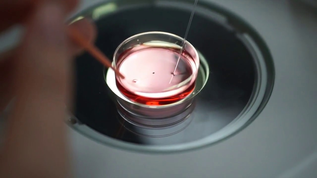 Kitazato Vitrification - Tips & Tricks