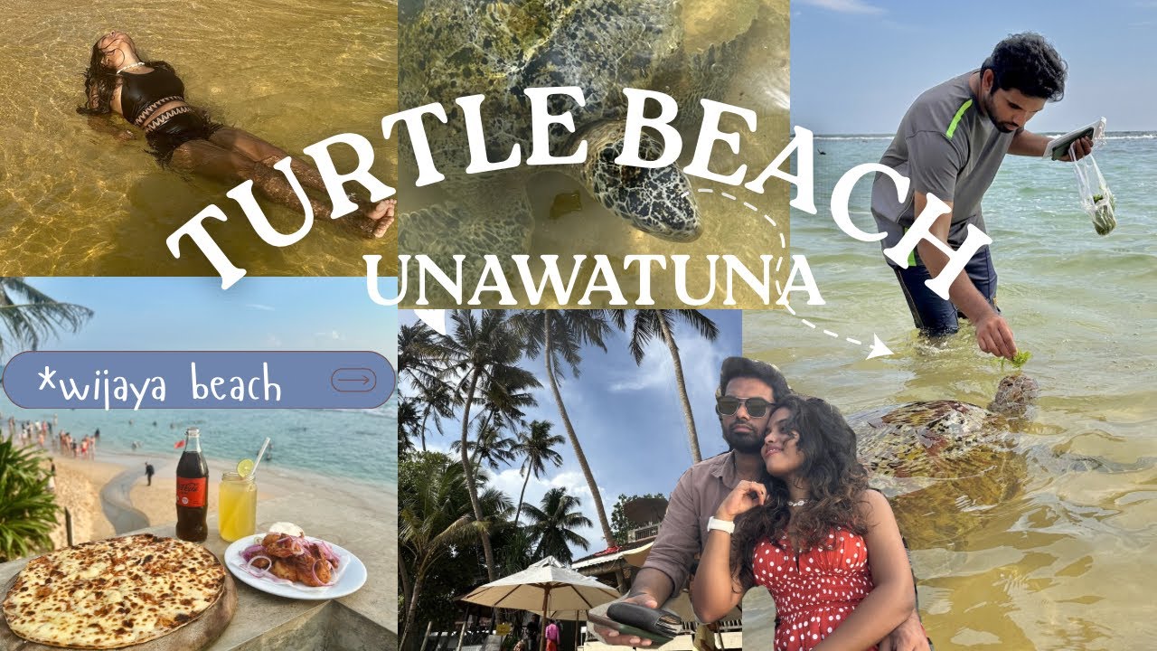 Valentine දවසේ අපි ගියා Turtle Beach Dalawella | Wijaya Beach Restaurant Unawatuna | Couple Vlog