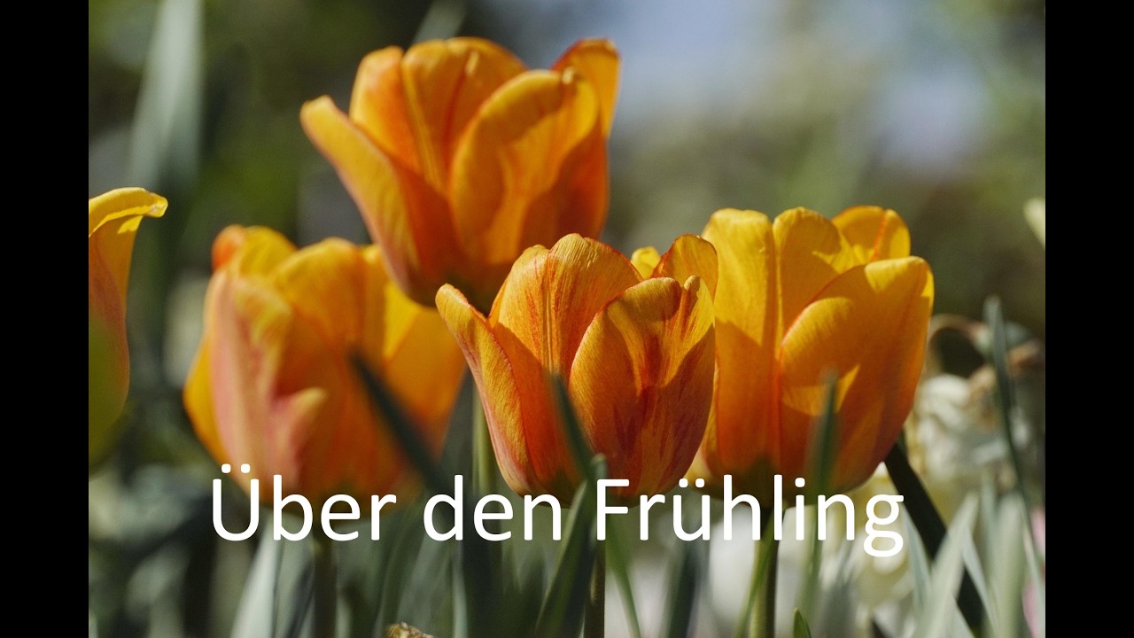 Über den Frühling - 01 - als Rap - Frühling, Frühjahr, Frühlingslieder, Lieder über den Frühling