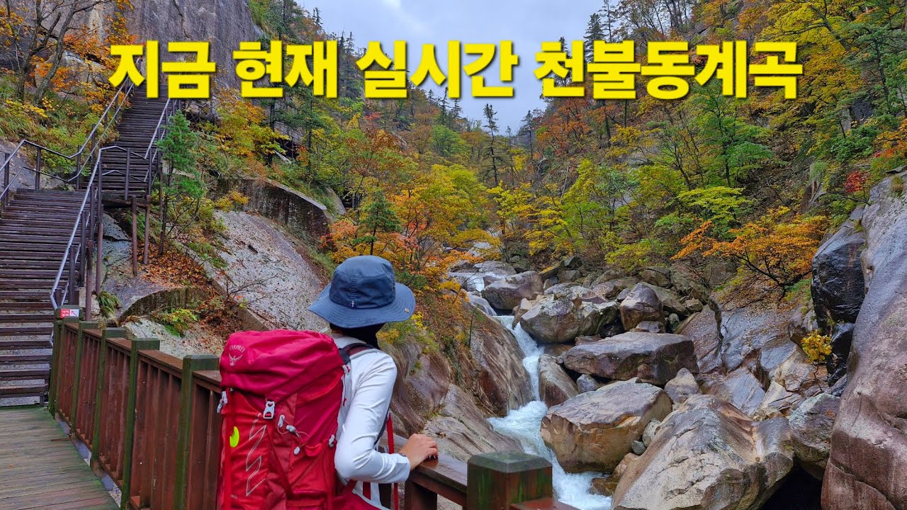 설악산 단풍 명소 천불동계곡 실시간 풍경