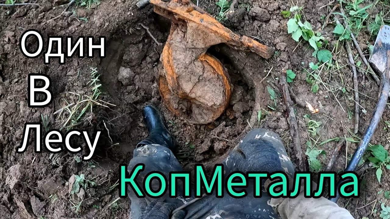 В ЛЕС ЗА МЕТАЛЛОМ ЧЕРЕЗ БОЛОТО. НАШЕЛ СБРОС ДЕРЕВЕСКОЙ ПОМОЙКИ. ОДИН В ЛЕСУ.