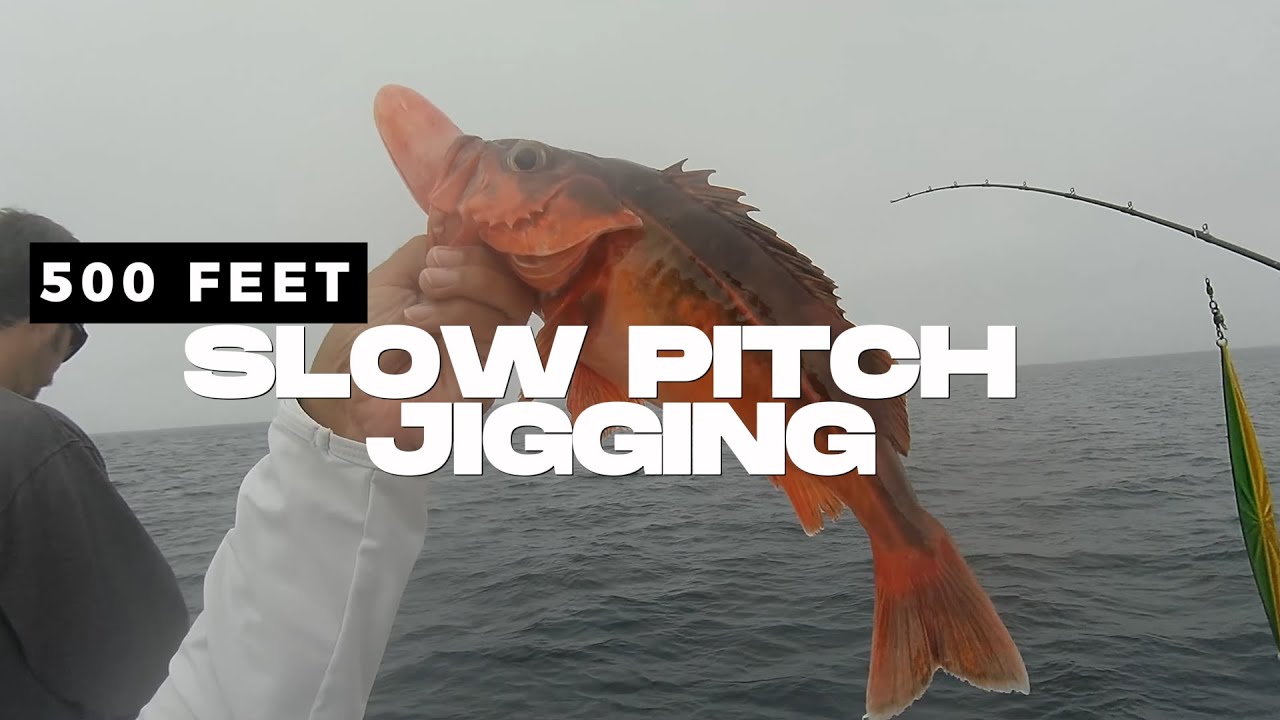 Revenge Trip! Slow pitch Jigging & more at Oceanside Sea Center Chubasco2 deep rock fishing 10/12/24