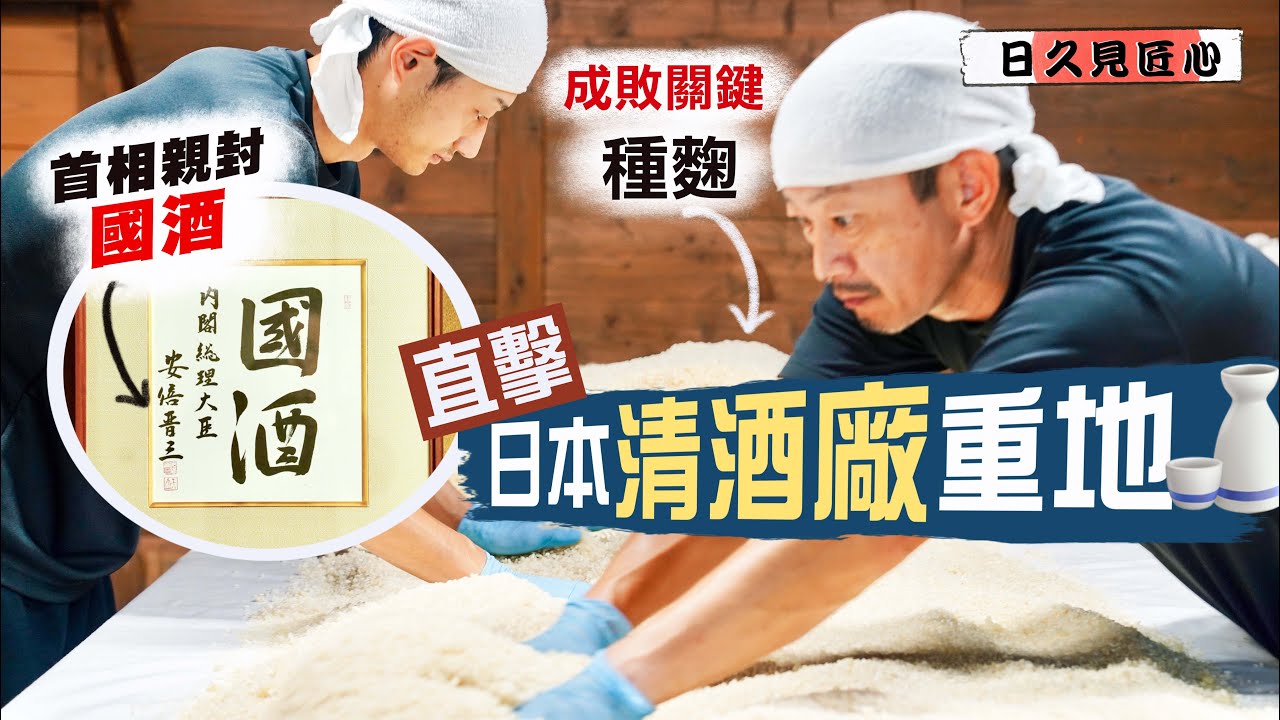 【日久見匠心🇯🇵】揭秘一口入魂的要訣！帶你深入日本清酒廠重地😎麴室溫度達40°C！直擊成敗關鍵：「種麴」全過程｜一麴、二酛、三釀造🍶孤芳自賞的熟成清酒 竟然開始流行？｜How to make Sake