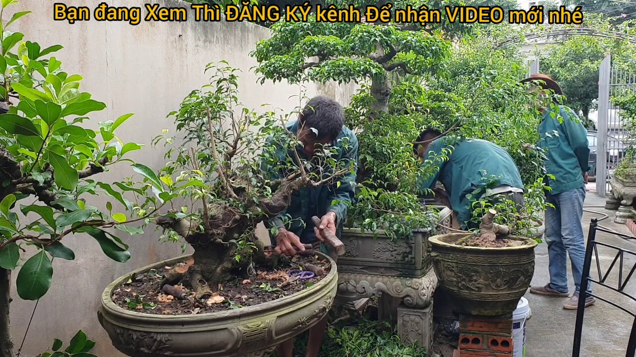 Ts1018. LẦN 2 QUAY LẠI BẠN LINH , CH&Uacute;C SƠN ,Chương Mỹ ,HN.