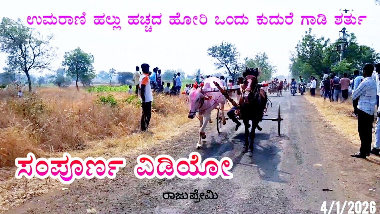 ಉಮರಾಣಿ ಹಲ್ಲು ಹಚ್ಚದ ಹೋರಿ ಒಂದು ಕುದುರೆ ಗಾಡಿ ಶರ್ತು ಸಂಪೂರ್ಣ ವಿಡಿಯೋ 4/1/2026
