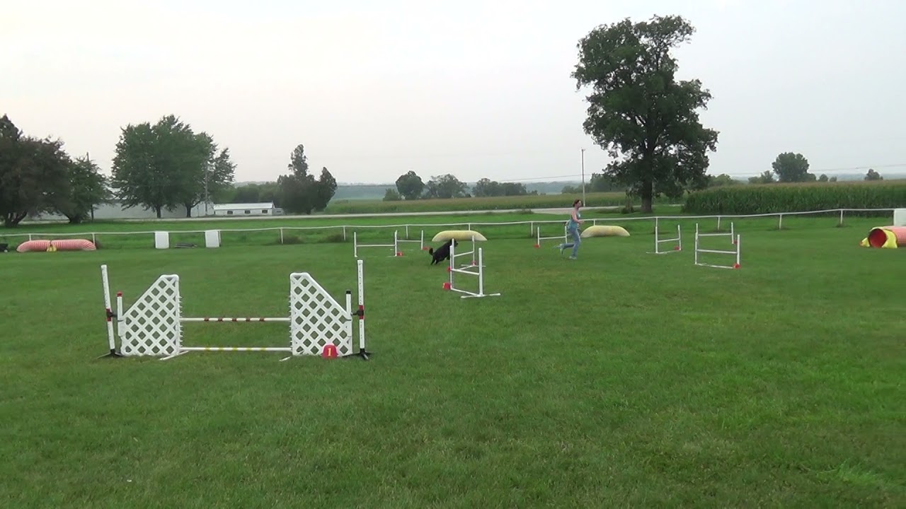 Nicole & Tally - Novice Jumpers 2
