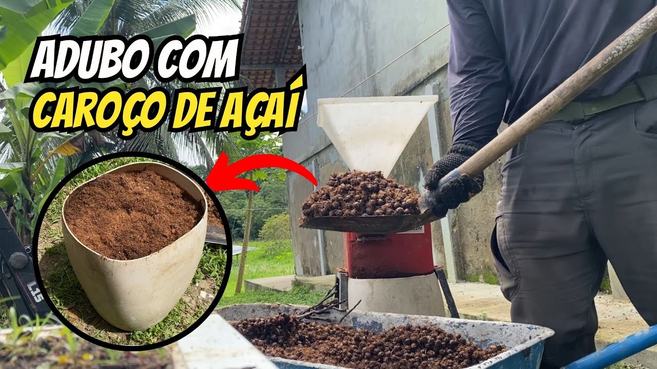 Adubação com caroço de açaí