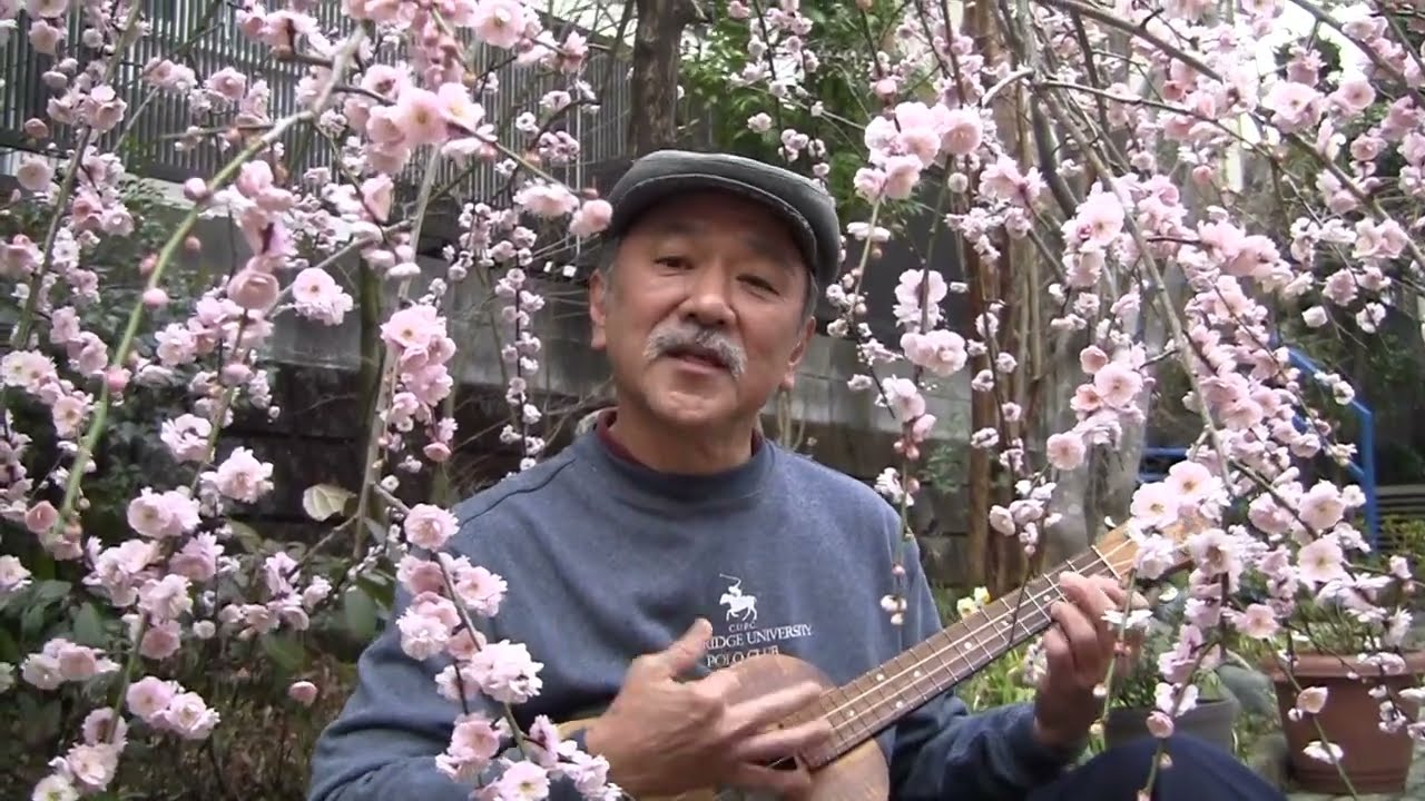 Feelin' Groovy (Simon and Garfunkel) ukulele rendition