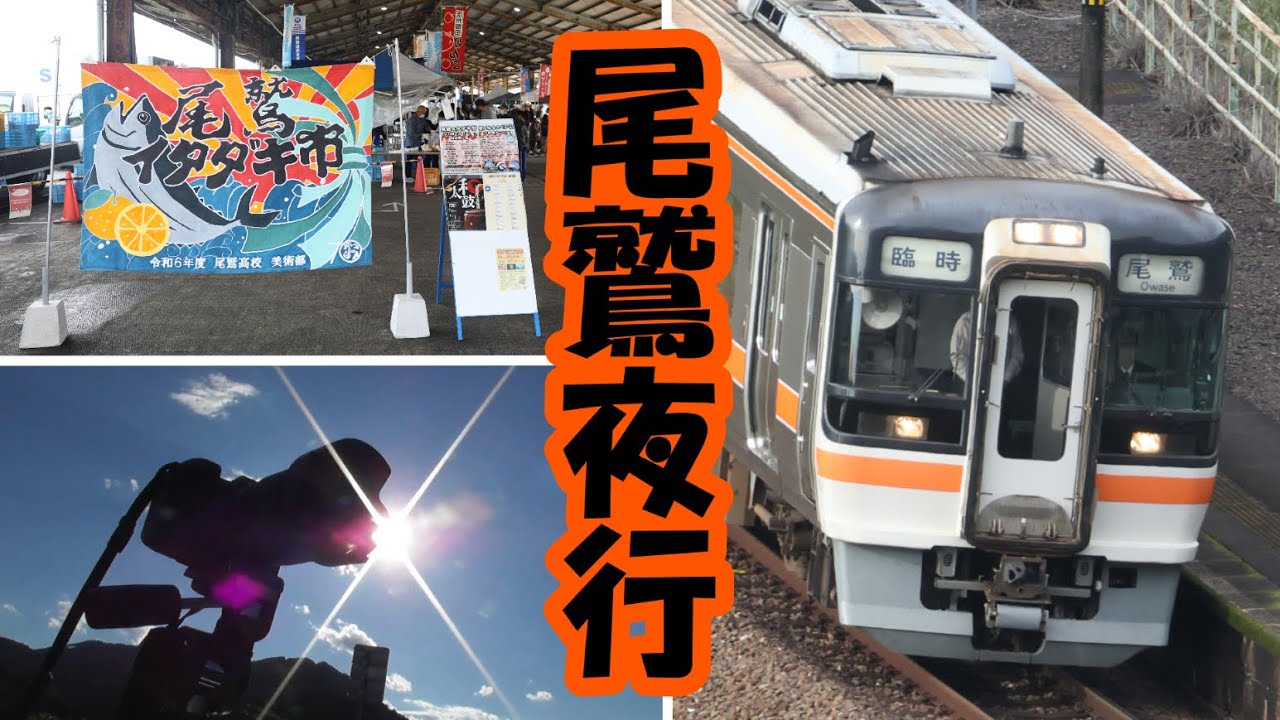 【キハ75形】 尾鷲行の夜行列車を撮る！【紀勢本線】