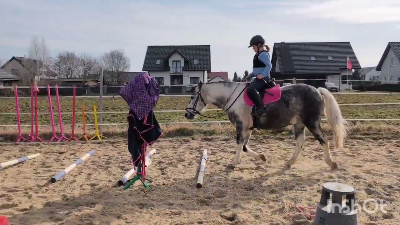 Domino zaskakuje #horse #pony #equestrian #stajniaprzydomowa #cordero 