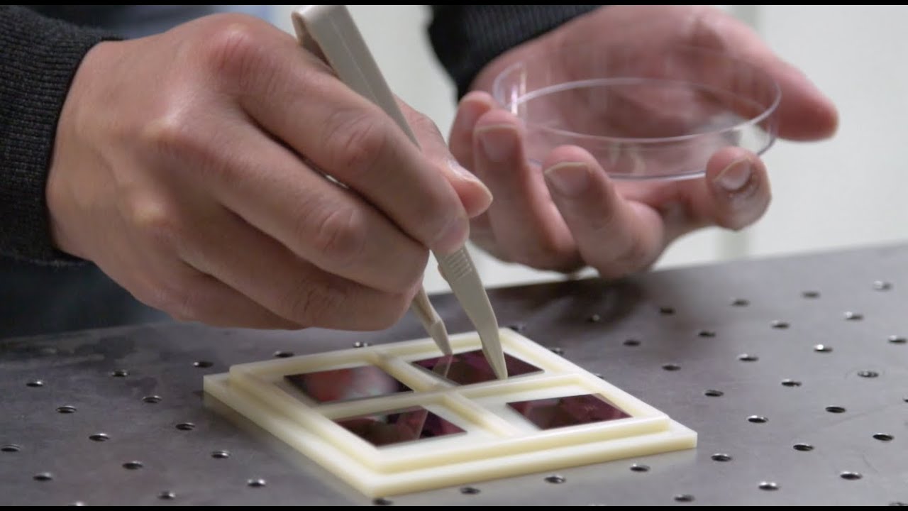Master of Engineering (Micro Nano Engineering) | RMIT University