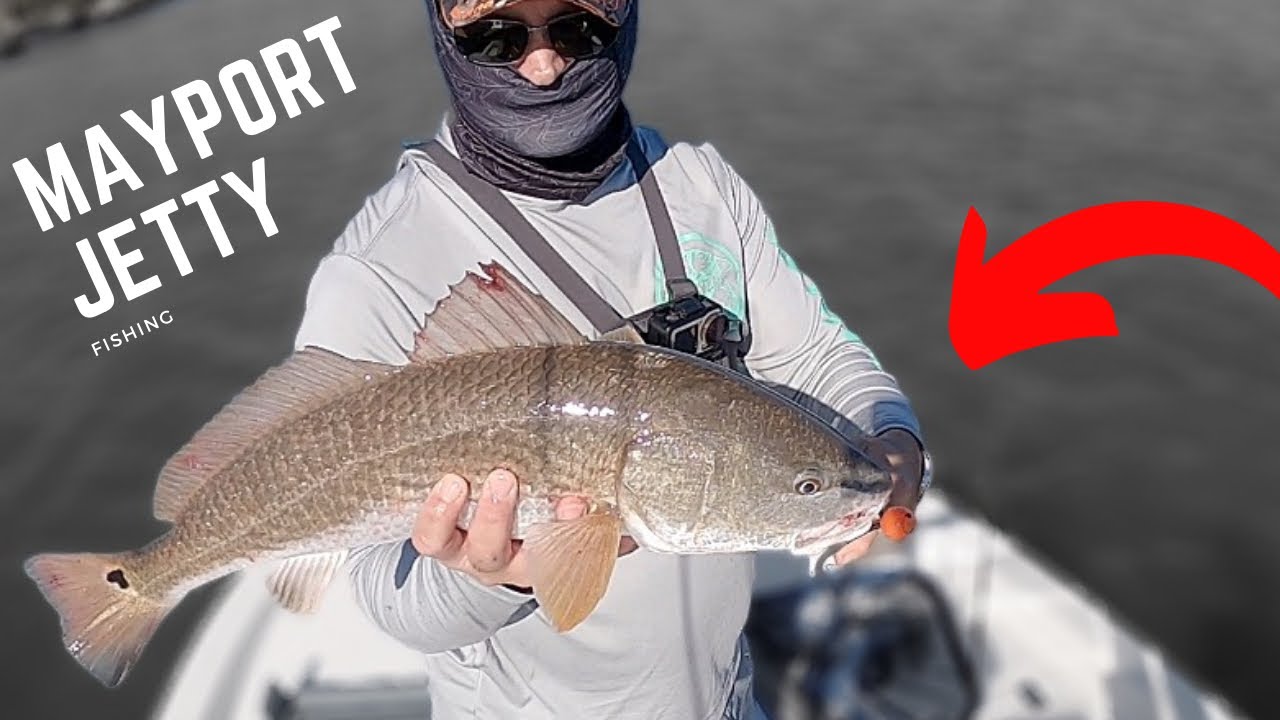 Jacksonville Florida fishing at the Mayport Jetties