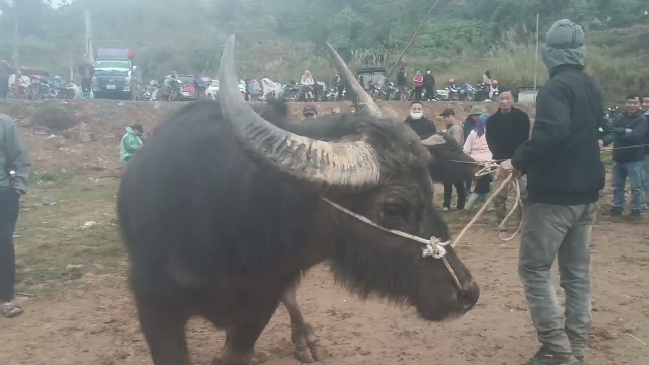 8 tháng 1, 2026