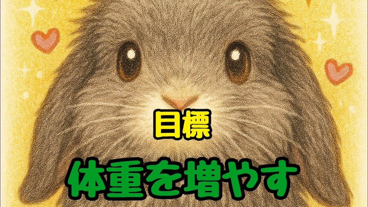 【目標】うさぎの病後の体重を増やす