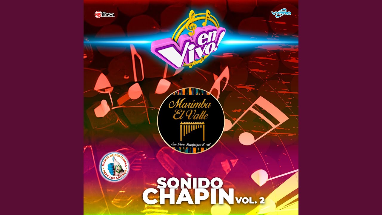 Mosaico de Cumbias 2: Bailando con la Llorona / Mi Chiantlequita / Santa Cruz Comitancillo (En...