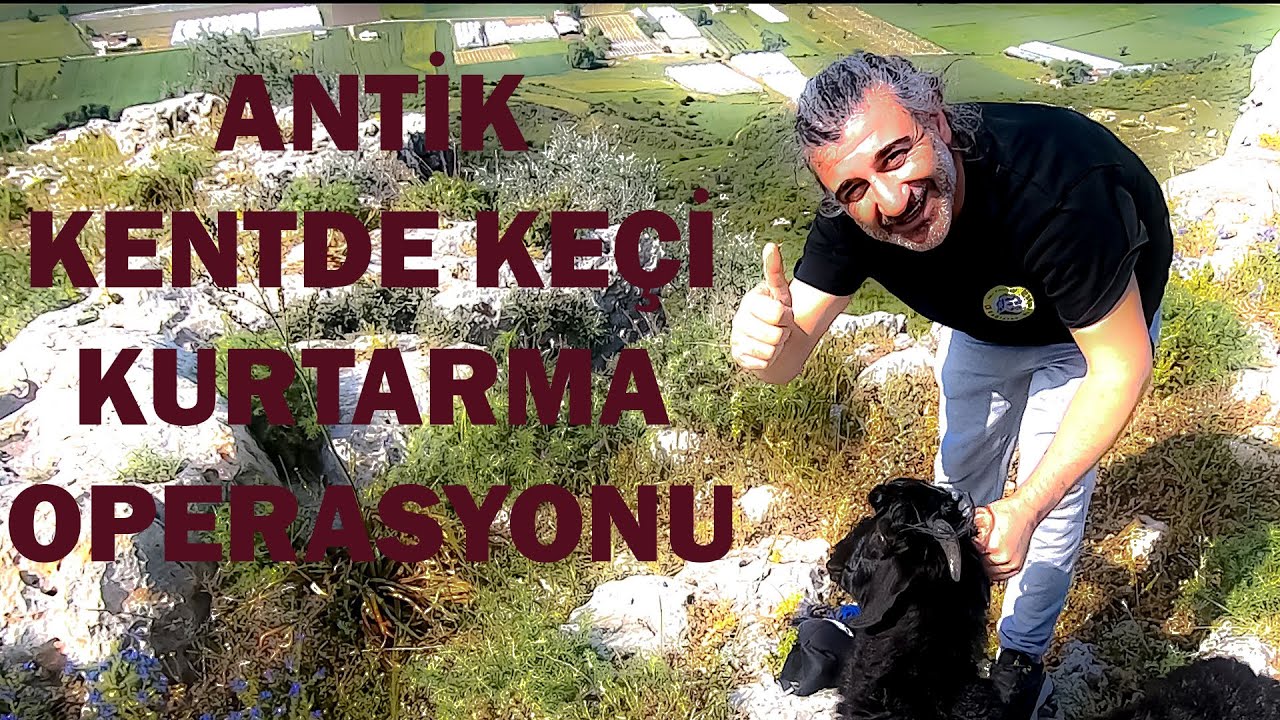 ŞAŞKIN KEÇİYİ SILLYON ANTİK KENTİ'NDEN KURTARAN BİZ OLDUK⁠ | YAZ GELDİ, ANTALYA'DA NE YAPACAĞIZ?