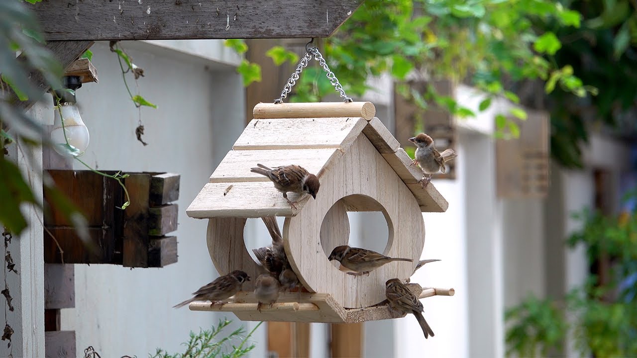 Make a wooden bird house and bird feeder from recycled pallets