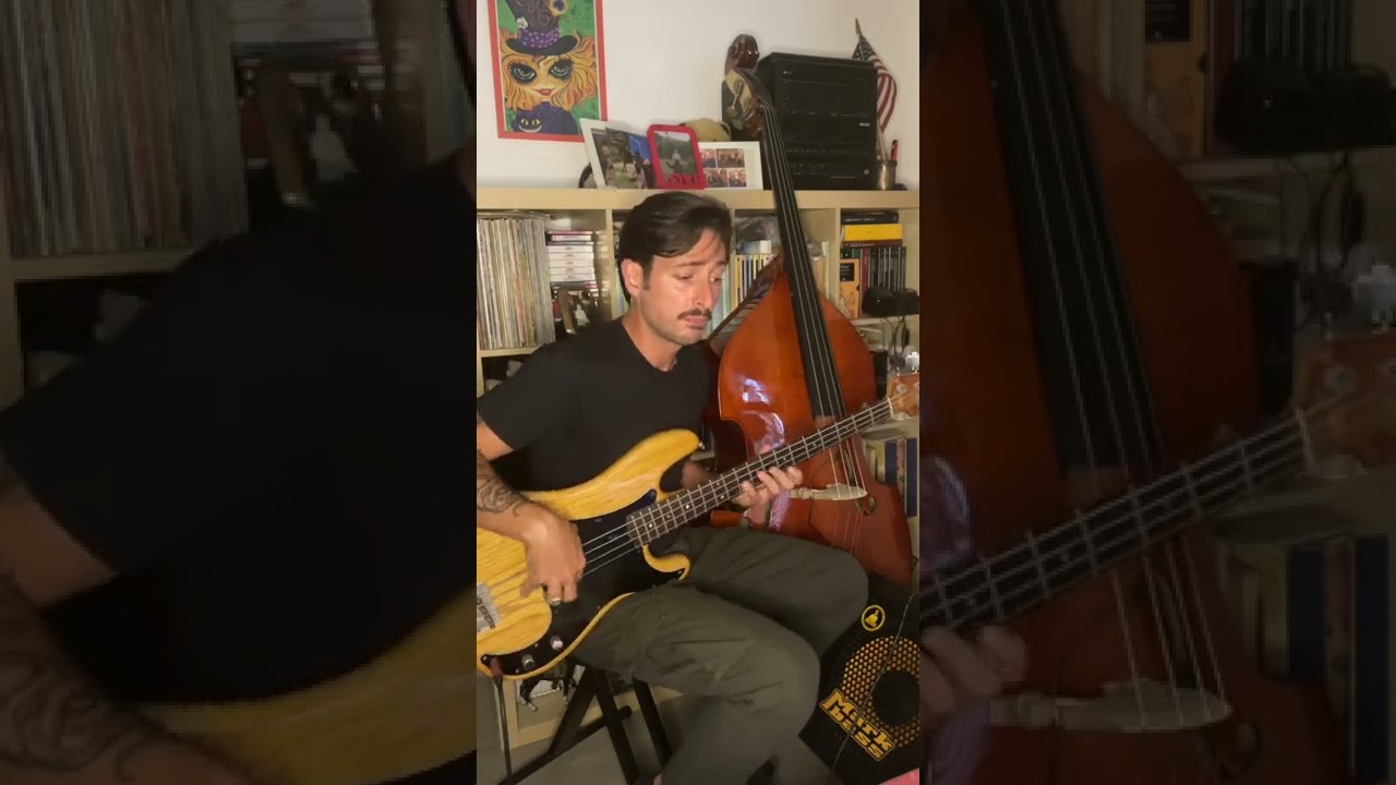 FENDER PRECISION 78 GROOVE!