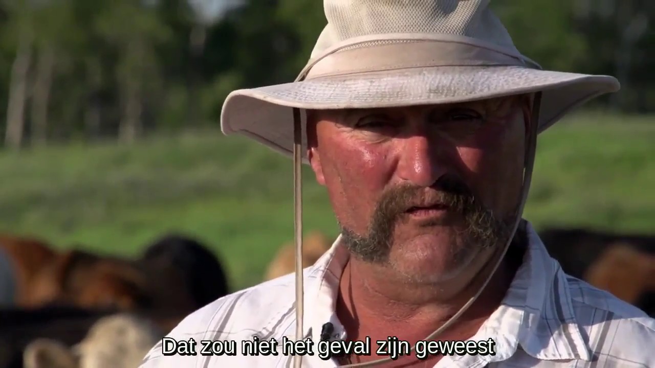 Bodemkoolstof rundvee boeren - slim grasbeheer - boerenverstand loont