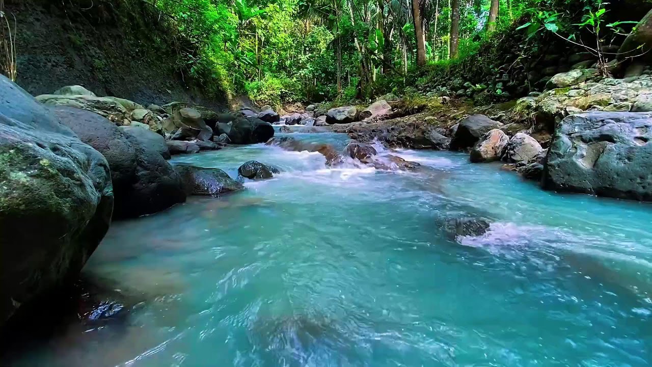 Mountain Stream Natural Water, Forest River Sounds, Sleeping