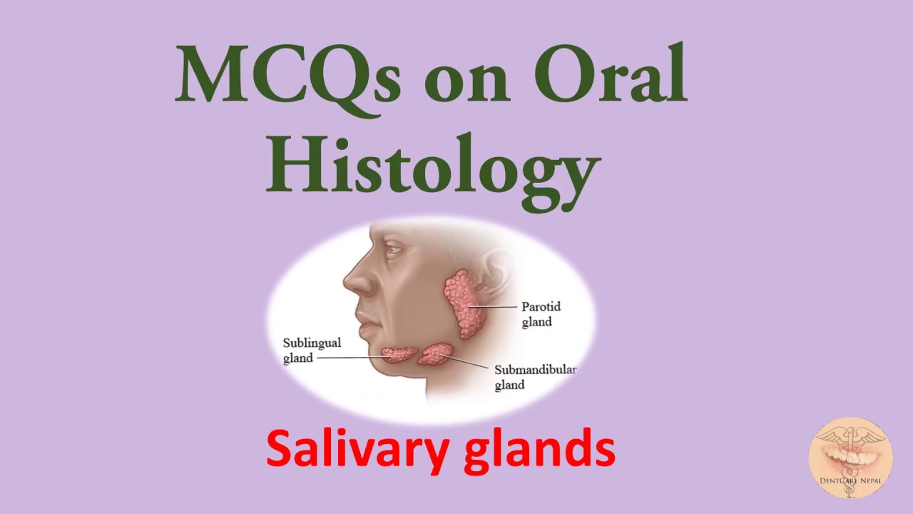 MCQs on Oral Histology  - Salivary Glands for  NBDE, NDEB, AIPGEE, AIIMS, ADA, etc.