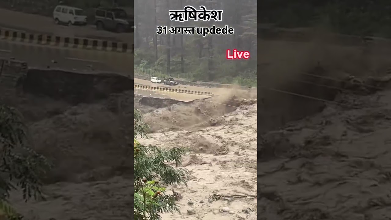 Rishikesh Road Update Live #viral #flood #landslide #rainfall  #haridwar #road #heavyrain  #travel