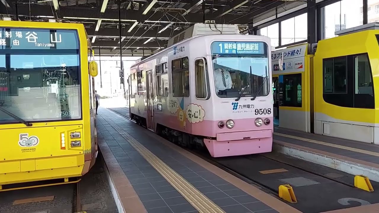 鹿児島市電（いづろ通電停～鹿児島駅前電停）Kagoshima City Tram(Izuro-dori Stop~Kagoshima Station Stop)