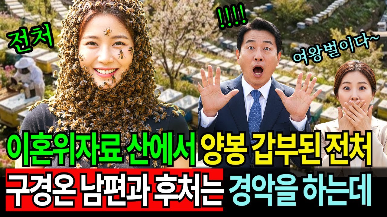 위자료로 준 쓰레기 산이 1,000억,  6개월 뒤 여왕벌이 되어 나타난 전처 앞에 피눈물 흘리는 전남편