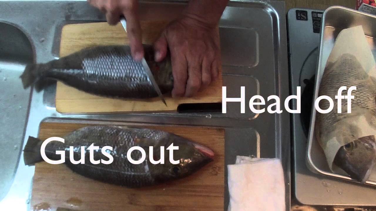 Cleaning fish to prepare for aging