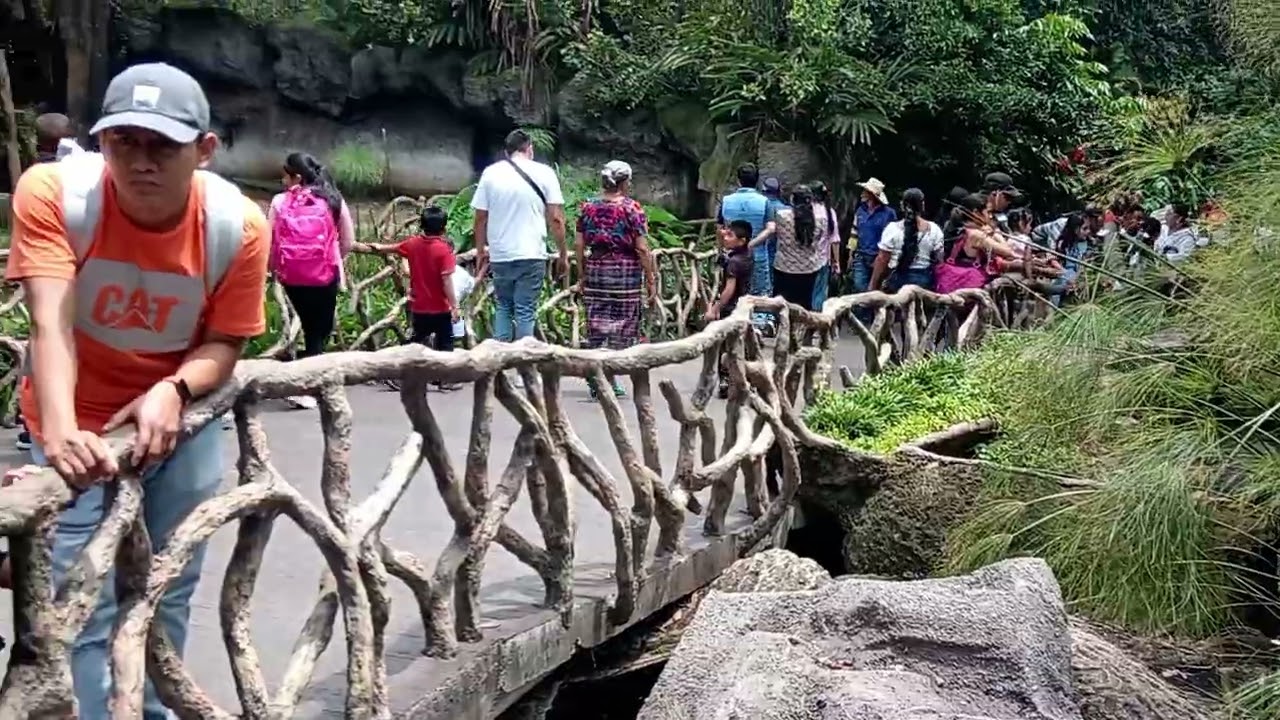 Desde el acuario del zoológico la Aurora en Guatemala 