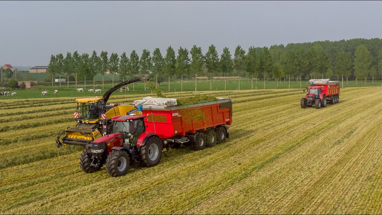 Ensilage | FR 700 | 3 Case IH & bennes Dezeure 3 essieux